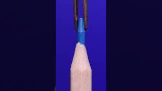 Color pencil & Tweezers (ASMR Close up/macro) #macro #asmrvideo #satisfying #asmrsounds #closeup
