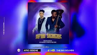 Afro Seben Instrumental x Afrobeat Type Beat 2024 || Prod by Exmarro & Grace record