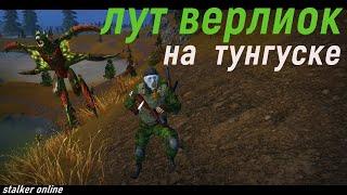 Лутаю ВЕРЛИОК на ТУНГУСКЕ \stalker online\  Stay out