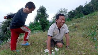 wonderful life in the village || Bhumi & son  herding cows  goats in the jungle || playing with son