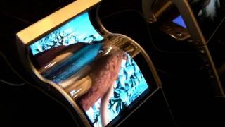 Samsung Flexible Display Demo at CES 2011