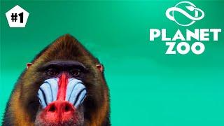 Planet Zoo ● # 1 ● МОЙ ЛИЧНЫЙ ЗООПАРК!!!