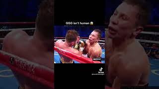 GGG has the best chin