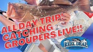 Reel Deal Sportfishing is live!