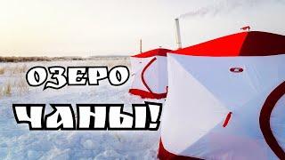 Двое суток на льду! Ловля карася зимой! Озеро Чаны! #чаны #карась