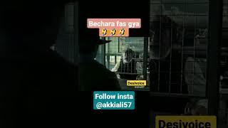 Ungli Se Goli Marta H DhiskiyauBy DESIVOICE