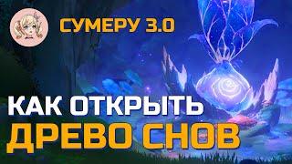 КАК ОТКРЫТЬ ДРЕВО СНОВ СУМЕРУ | Genshin Impact