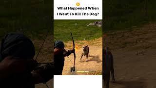 Assassins Creed Odyssey | What Happened When I Went To Kill The Dog?