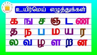 உயிர்மெய் எழுத்துக்கள் (UyirMei Ezhuthukkal)|Tamil Letters| Tamilarasi