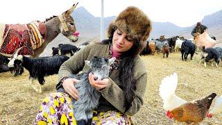 Village Life In Iran: Amazing Bread Baking & Wonderful Donkey Riding