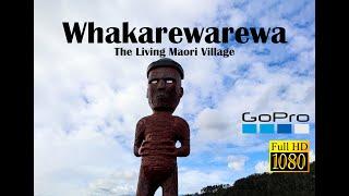 Whakarewarewa ~ New Zealand's Iconic Maori Living Village