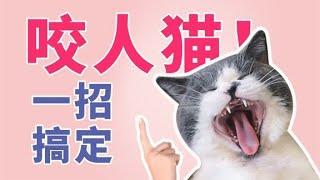 一招搞定咬人猫,猫行为训练一