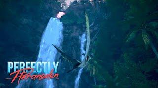 The beauty of Pteranodon - The Isle Evrima - Ptera gameplay - FR coms