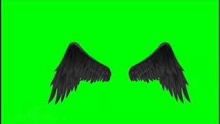 .• Black Wings •. // Green Screen \\