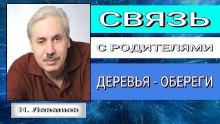 СВЯЗЬ С РОДИТЕЛЯМИ. ДЕРЕВЬЯ - ОБЕРЕГИ. Николай Левашов.#познавательное#рек#оберег