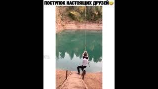 лучшие друзья)