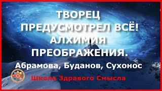 Творец предусмотрел всё! Алхимия преображения. Абрамова, Буданов, Сухонос