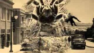 Attack of the El Choco Killer Tarantulas