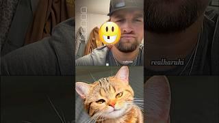 Fun #cat #meme #dance #trending