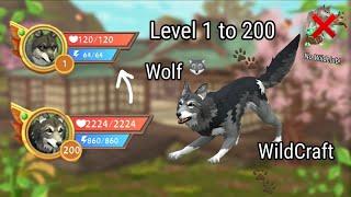 WildCraft Level 1 to 200 Wolf  No WildClub 