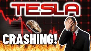 Tesla (TSLA) Stock CRASHING After Robotaxi Event! | Buy The Dip? | TSLA Stock Analysis! |