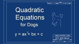 Intro to Quadratic Equations (Quadratics for Dogs)