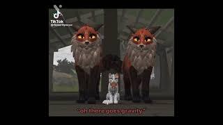 Warrior cat TikTok’s that made my day 