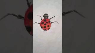 #art #shortvideo #youtubeshorts #artwork #viral #talent #shorts