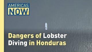 Danger Below: The Deadly Risks for Honduras' Lobster Divers