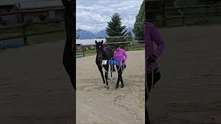 In sync with Dazzle 