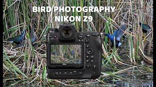 Bird Photography with the Nikon Z9