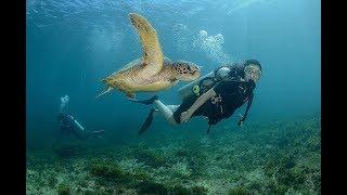 Fernando de Noronha  - Brazil Ecotour