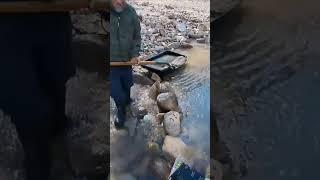 GOLD PROSPECTING #sluicebox #goldmining