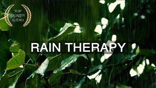 10 Hour | Relaxing Rain & Wind Sound Therapy | Tranquil Ambience for Deep Sleep & Stress Relief