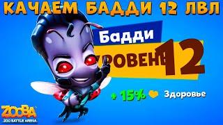 КАЧАЕМ БОЖЬЮ КОРОВКУ БАДДИ НА 12 УРОВЕНЬ В ИГРЕ ZOOBA