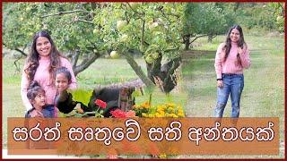 WEEKEND DAY IN THE LIFE | SINHALA | APPLE PICKING IN USA