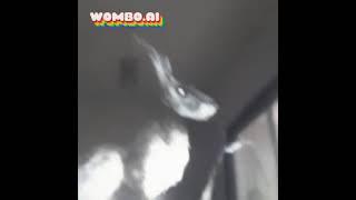 THE HUMANOID RABBIT SING THEIR SONG
