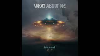 What About Me  - Luh Sant