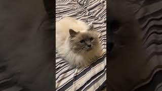 БЭЛЬ"- отдых, когда денег  нет..."