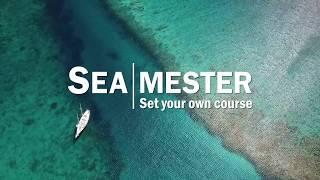 Seamester Study Abroad At Sea