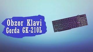 Fast Обзор Клавиатуры Gorda GK-210L (1 минута)