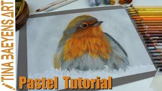 ROBIN TUTORIAL with minimal supplies for BEGINNERS | Step by step | TinaBaeyensArt