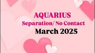 AQUARIUS- No contact & separation … surely you will reunite with them in march ..🩷#hinditarot