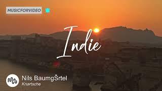 Best Groovy Indie Music for Video [ Nils Baumgärtel - Knartsche ]