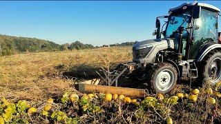 БІЗНЕС НА ГАРБУЗАХ!!! Мій висновок про гарбузовий бізнес!! Валкуємо, молотимо комбайном #оптиміст