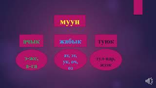 Муун ачык, жабык, туюк