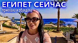 Египет 2023. ЧЕТВЕРКА которая КРУЧЕ ПЯТЕРОКПриехала в НОВЫЙ отель Grand Oasis 4*. Шарм Эль Шейх