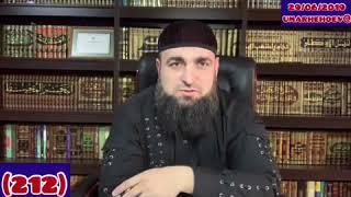 Нохчийн маттахь Умар Хехоев   Хаза хьехам