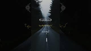 "Soothing Quran Recitation | Heart-Touching Tilawat to Uplift Your Soul"