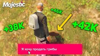 ЗАРАБОТАТЬ в ЧАС НА ГРИБАХ | ЛУЧШАЯ РАБОТА НА MAJESTIC RP GTA 5 RP